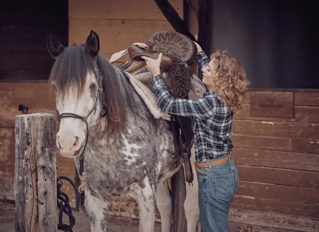 how to tack a horse western