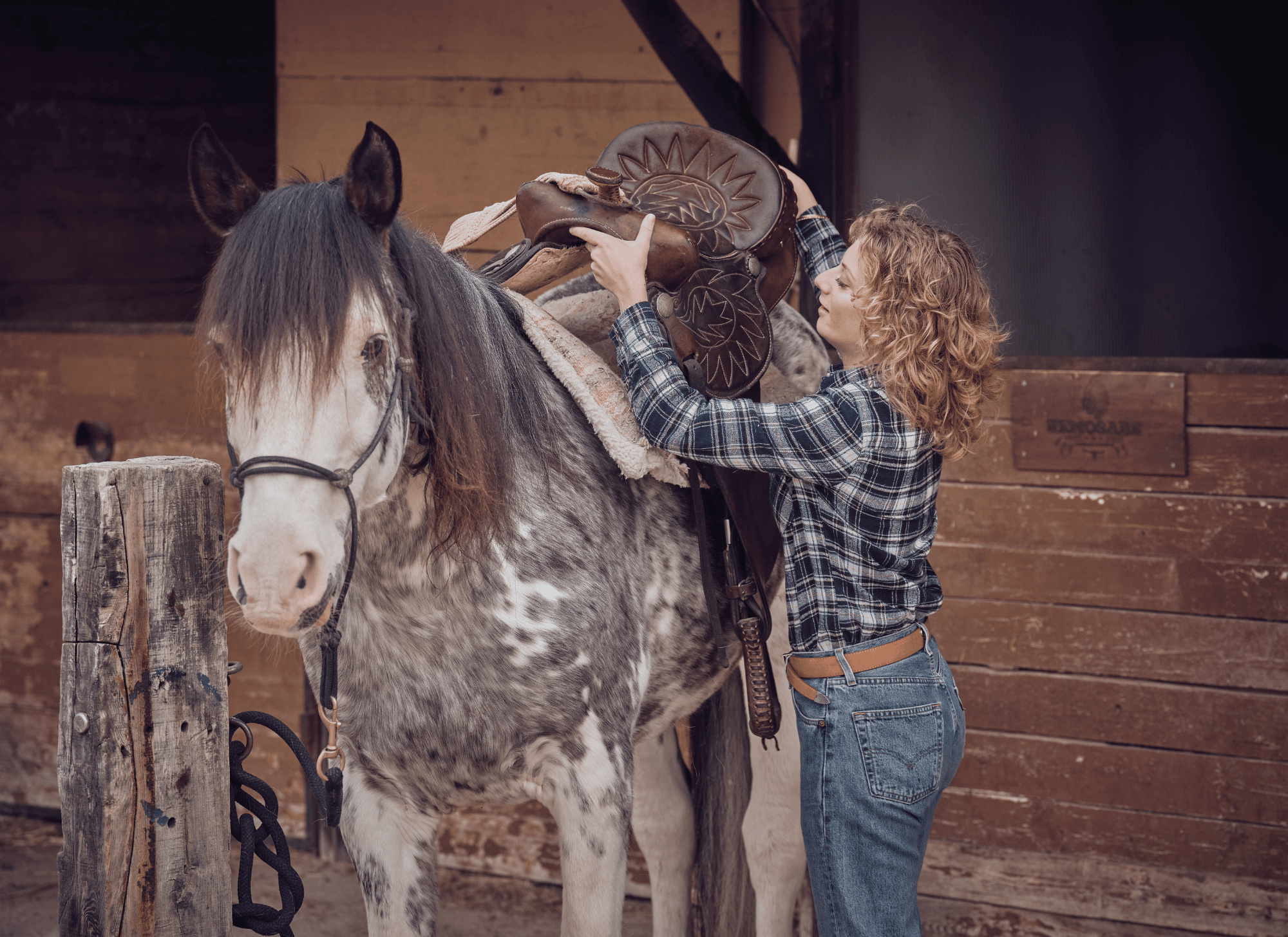 How to Tack Up a Horse (StepByStep Guide for WESTERN Riders