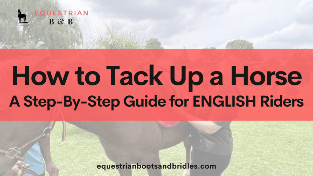 how to tack up a horse for english riders on equestrianbootsandbridles.com