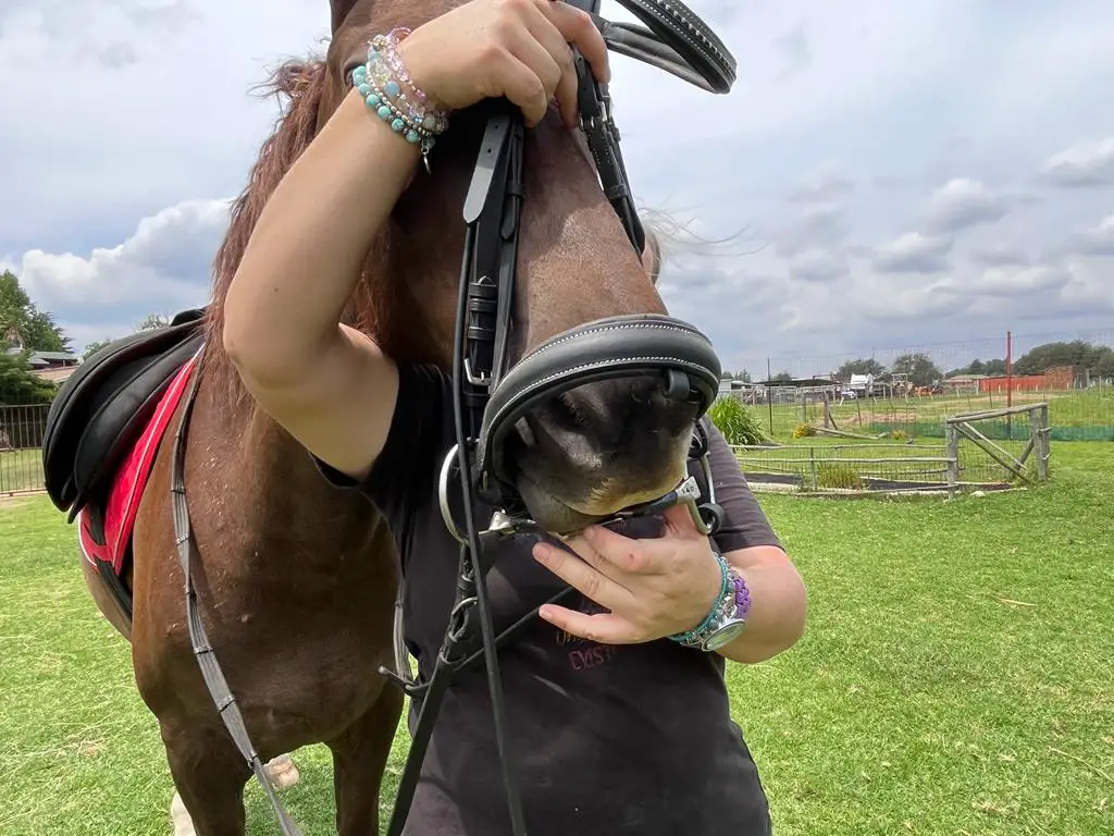 how to tack up a horse on equestrianbootsandbridles.com - guiding bit