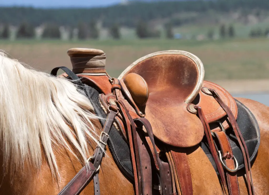 how to tack up a horse western on equestrianbootsandbridles.com