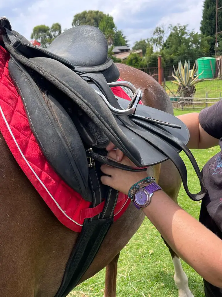 how to tack up a saddle on equestrianbootsandbridles.com - girthing