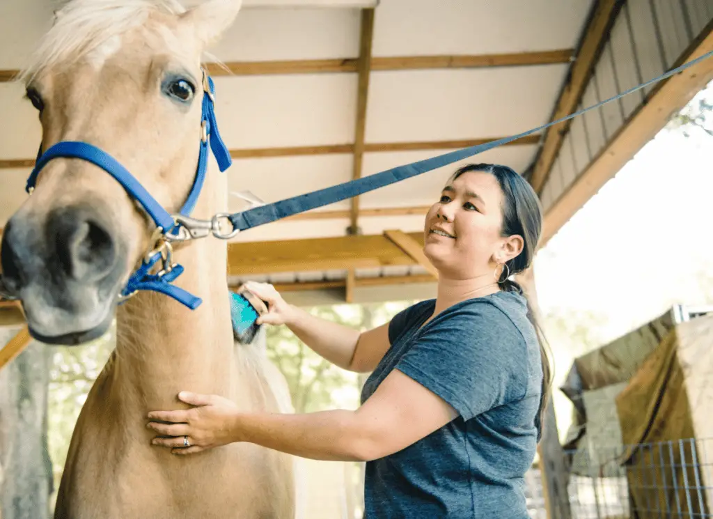 preventing dermatitis in horses on equestrianbootsandbridles.com