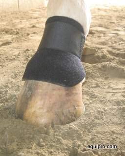 scalping boots equipro