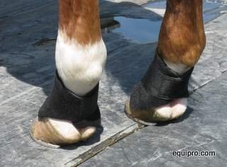scalping boots from equipro