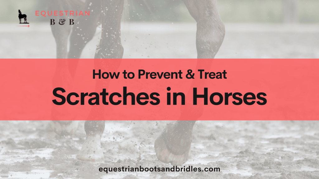 treating scratches in horses on equestrianbootsandbridles.com
