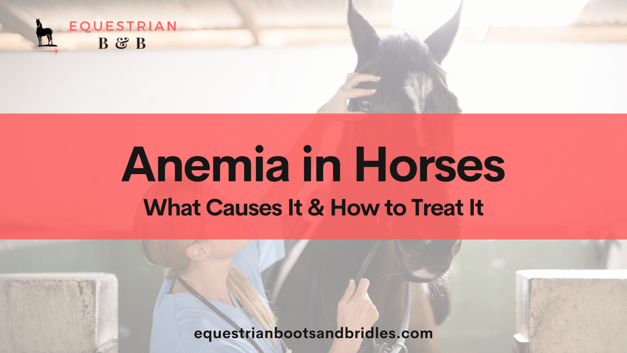 anemia in horses on equestrianbootsandbridles.com