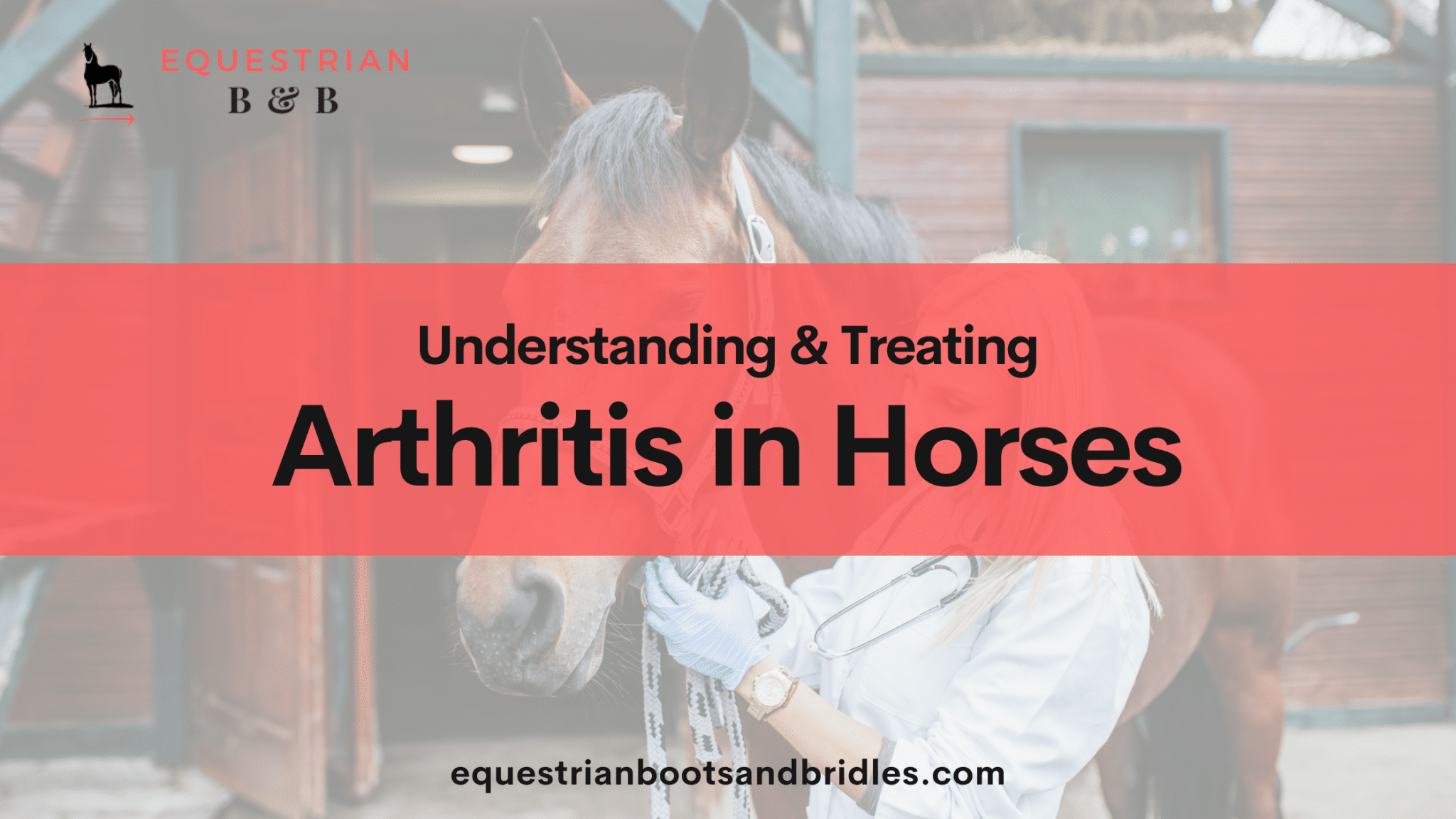 arthritis oseoarthritis in horses on equestrianbootsandbridles.com