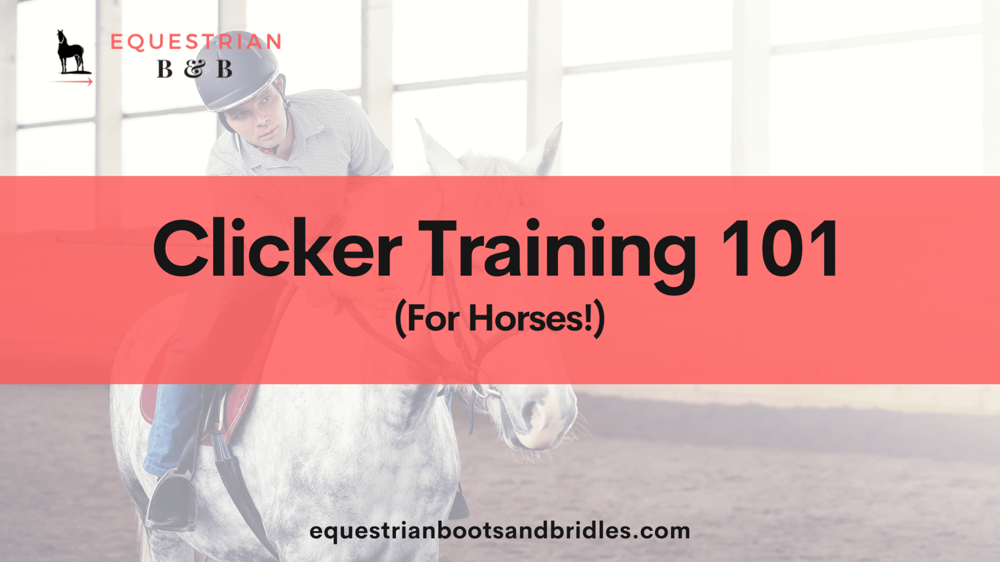clicker training for horses on equestrianbootsandbridles.com