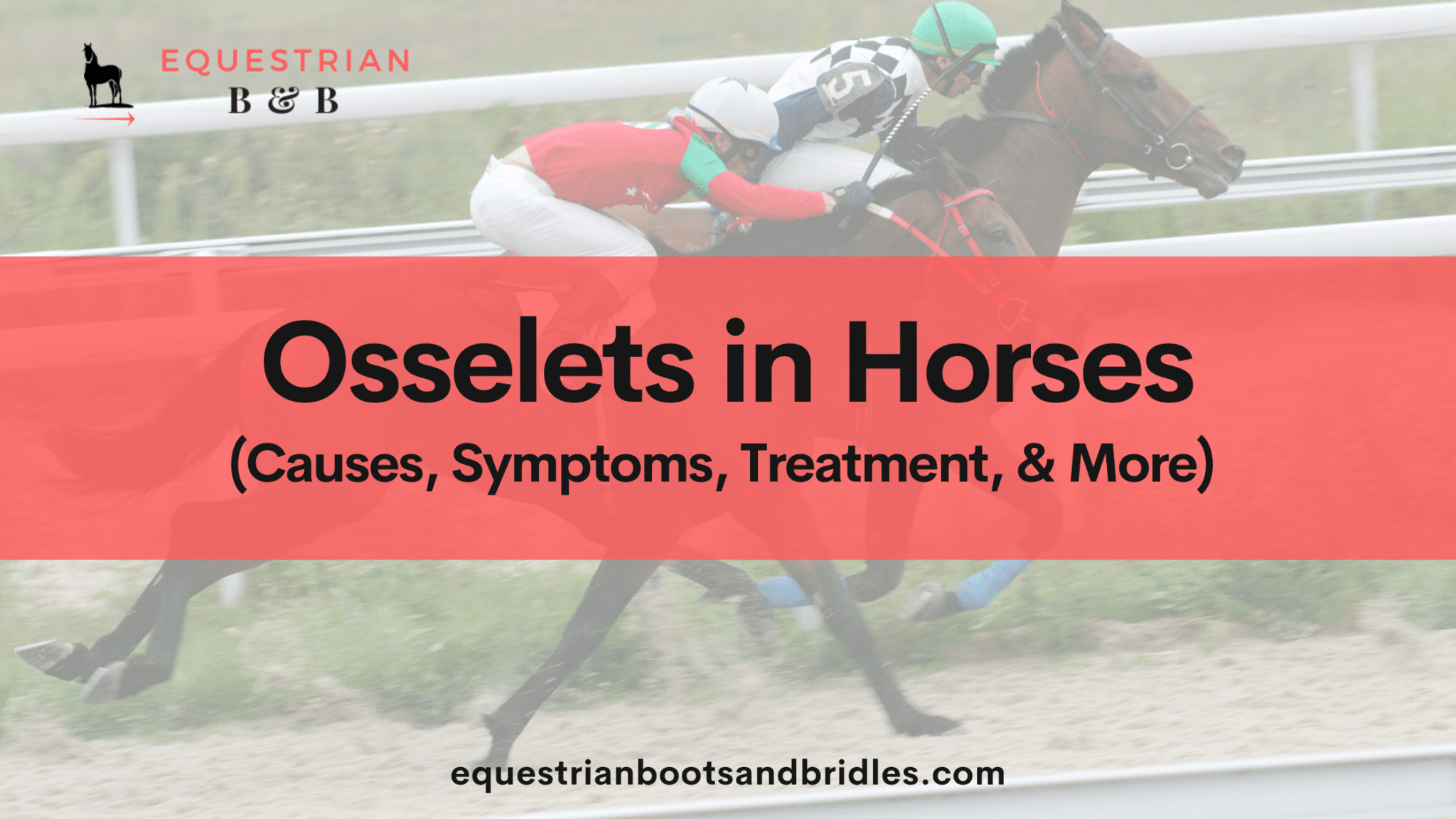 osselets in horses on equestrianbootsandbridles.com