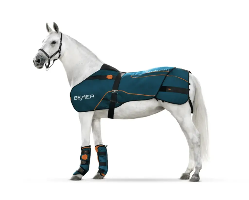 Bemer magnetic blanket for horses