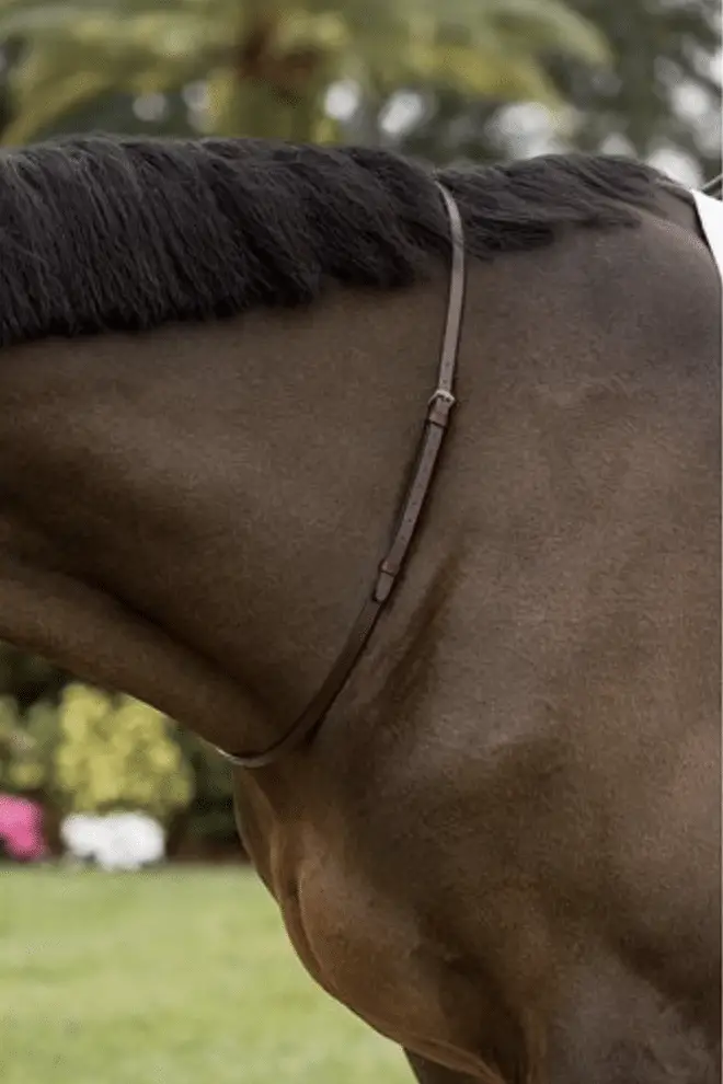 Neck strap for horses from Dover Saddlery