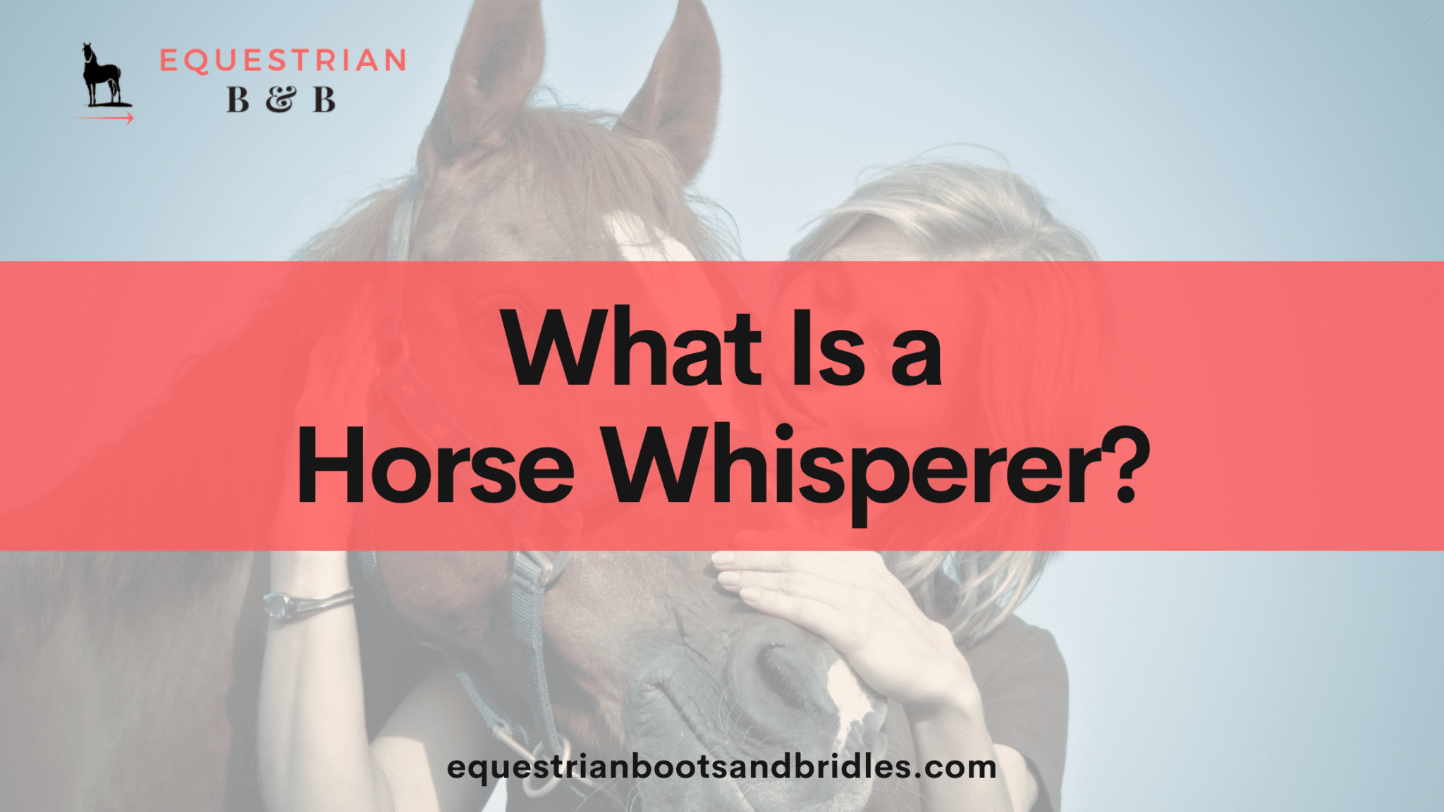What is a horse whisperer on equestrianbootsandbridles.com