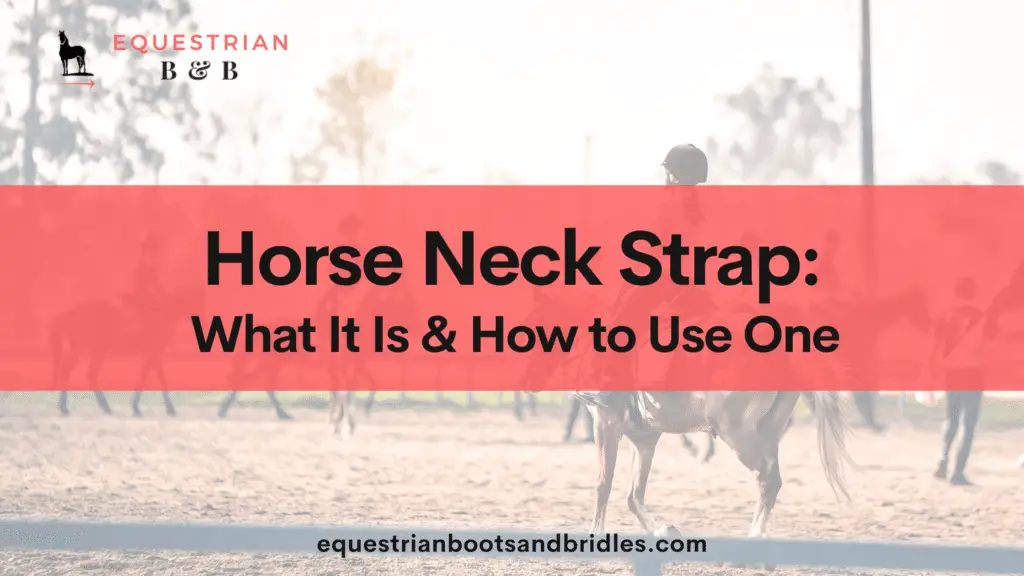 horse riding strap on equestrianbootsandbridles.com