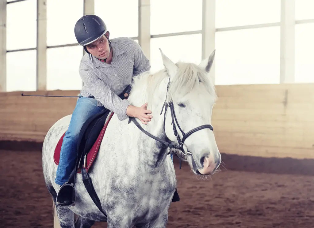Learn about what a horse whisperer actually does, things to consider before hiring one, what it takes to make a career out of it, and more.