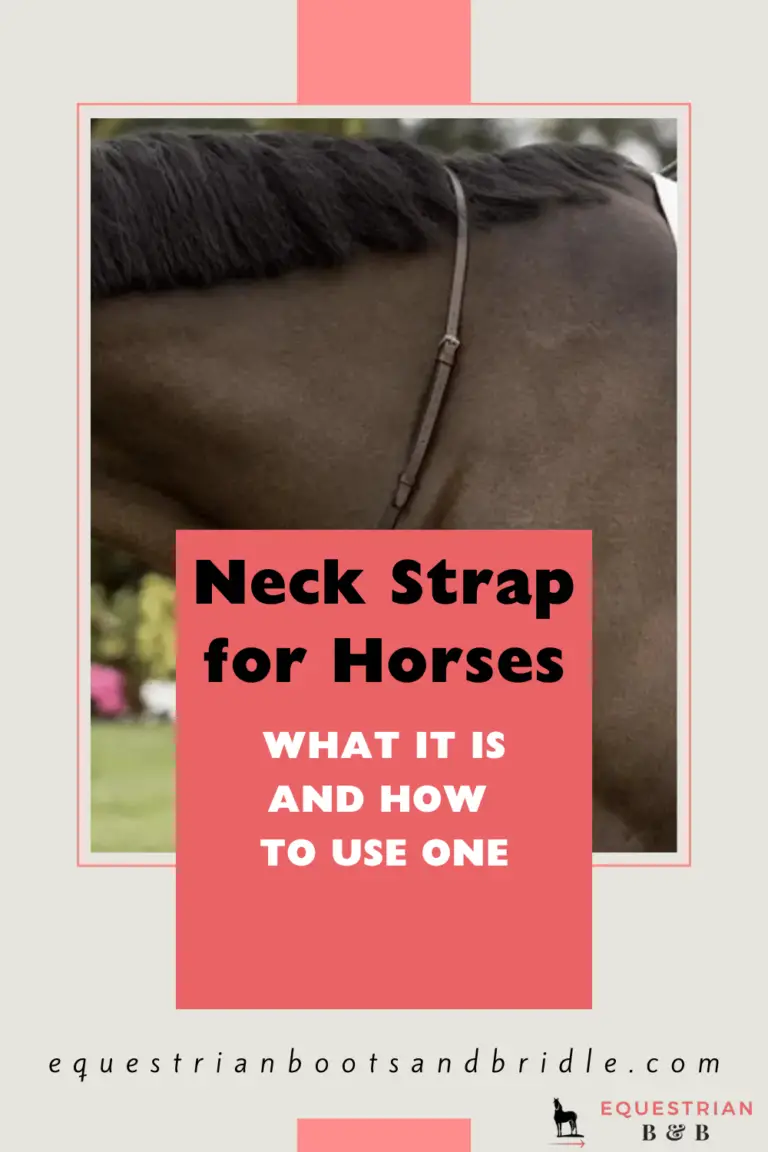 Neck Strap for Horses What It Is & How to Use One Equestrian Boots and Bridles